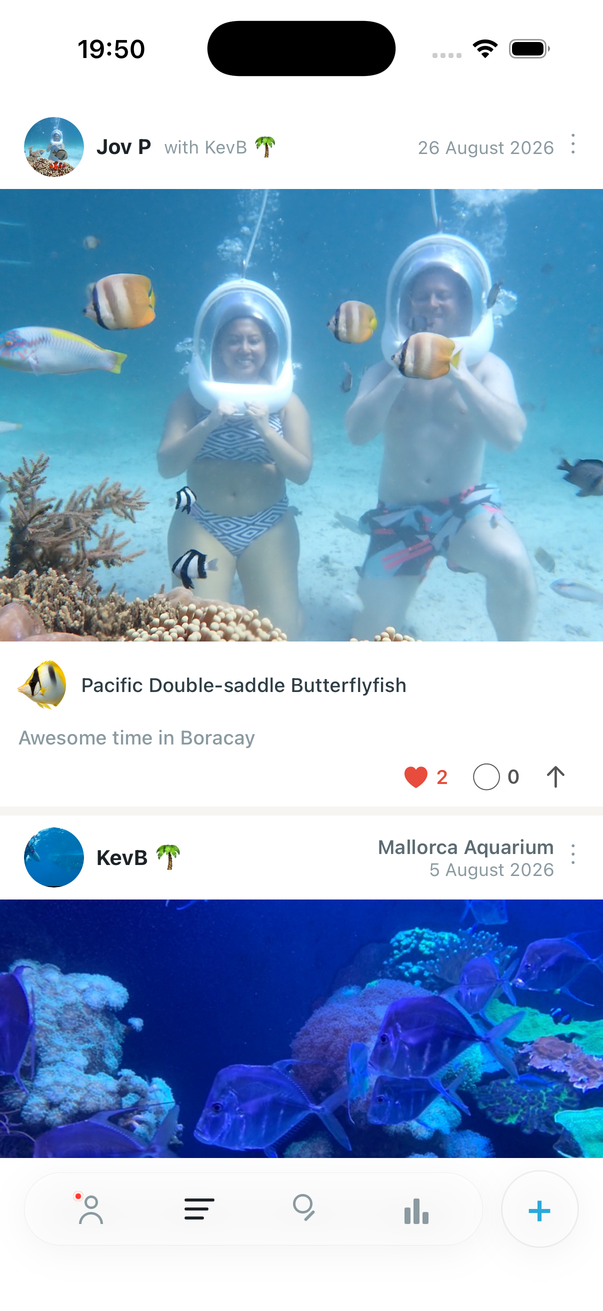 Reef Tagger social feed